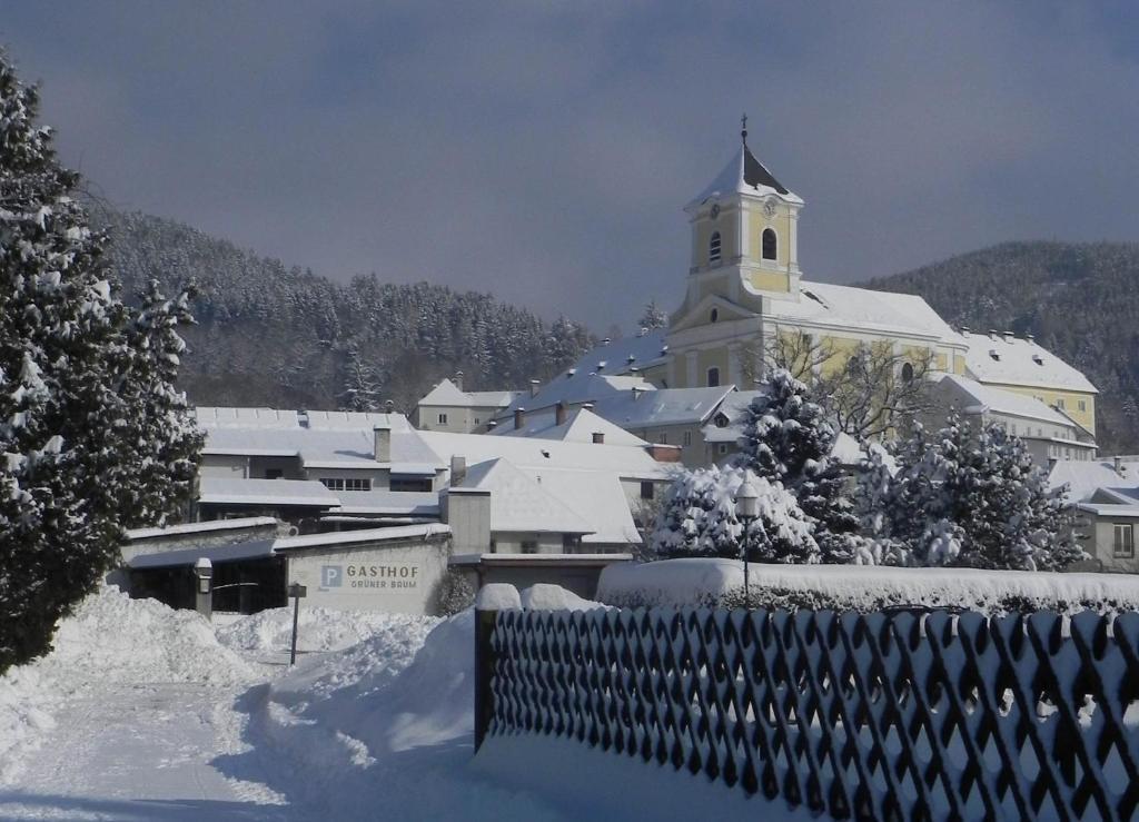 Gasthof Gruener Baum كيرشبرغ ام ويتشل المظهر الخارجي الصورة