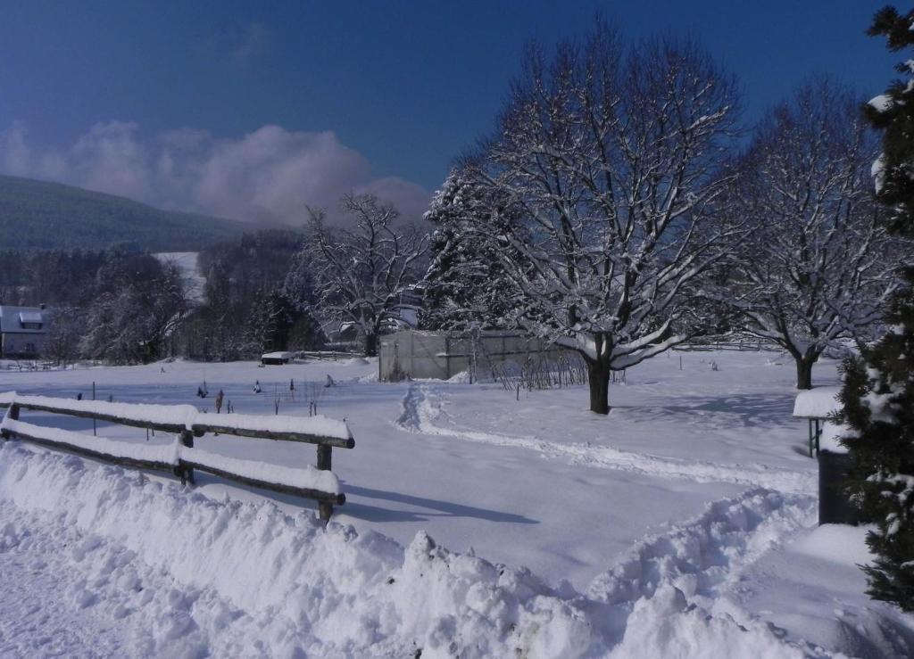 Gasthof Gruener Baum كيرشبرغ ام ويتشل المظهر الخارجي الصورة