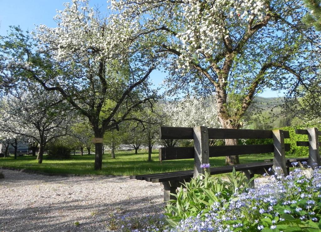 Gasthof Gruener Baum كيرشبرغ ام ويتشل المظهر الخارجي الصورة